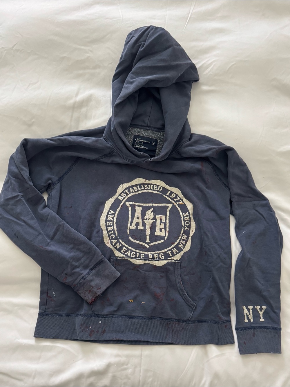 Vintage 2009 American Eagle AEO Logo Hoodie Large Blue Y2K Inspired Indie Sleaze